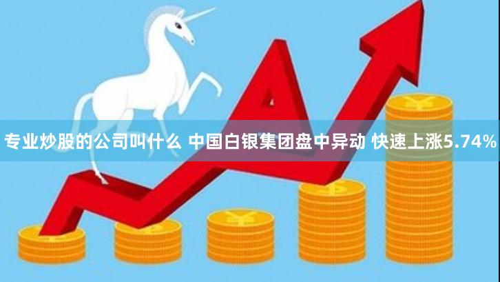 专业炒股的公司叫什么 中国白银集团盘中异动 快速上涨5.74%