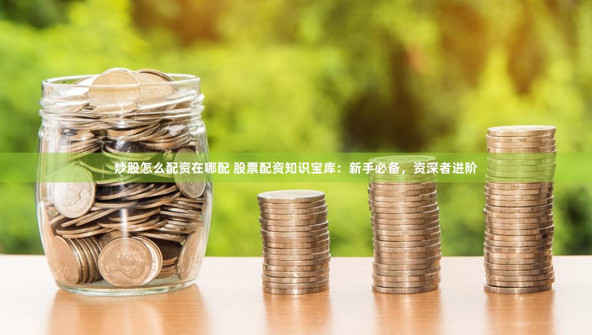 炒股怎么配资在哪配 股票配资知识宝库:新手必备,资深者进阶